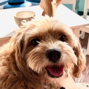 Meet your Posher, Felicia